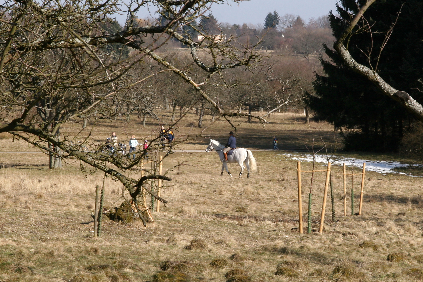 Reiten in den Streuobstwiesen....