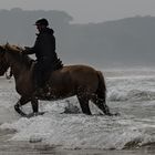 Reiten in der Brandung