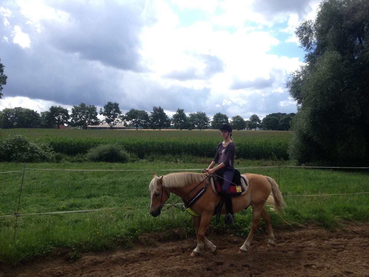 Reiten in der Natur