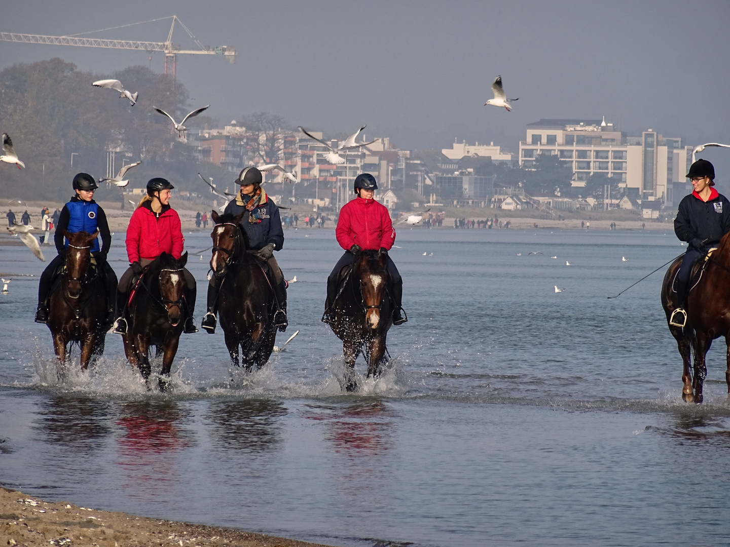 Reiten in der Ostsee 