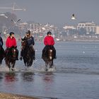 Reiten in der Ostsee 