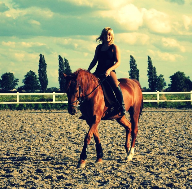 Reiten in der Sonne!