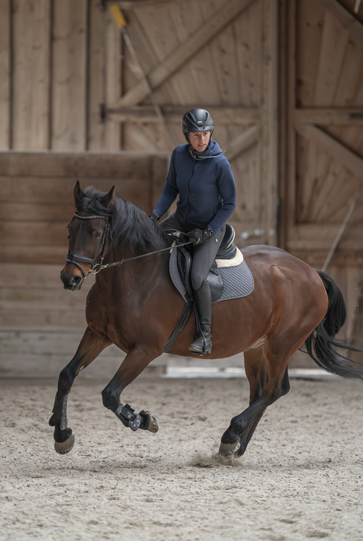 Reiten in Halle