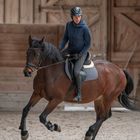 Reiten in Halle