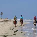 Reiten in Sidi Mahres