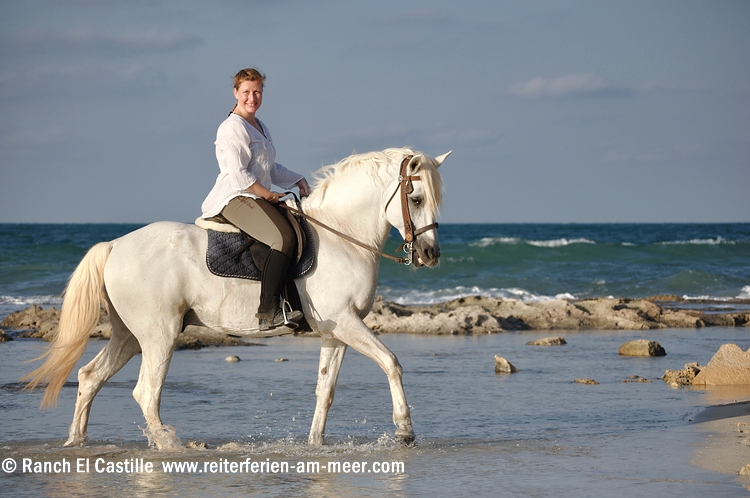 Reiten in Tunesien