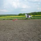 Reiten ist kein sport ..!!!