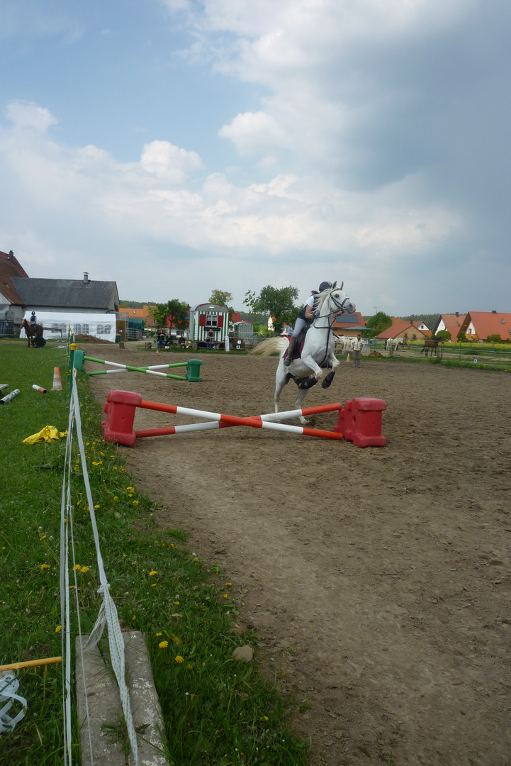 Reiten ist kein sport ..?