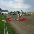 Reiten ist kein sport ..?