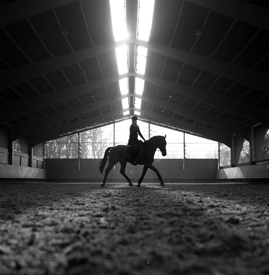 Reiten ist Lebenskunst – als Lebenskünstler lebt man nicht länger, aber mehr!