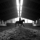 Reiten ist Lebenskunst – als Lebenskünstler lebt man nicht länger, aber mehr!