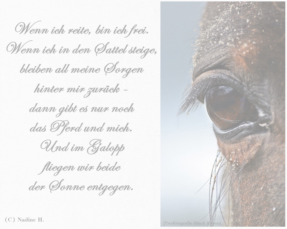 Reiten ist Poesie