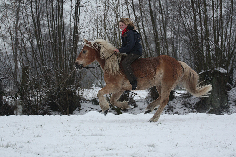 Reiten macht Spaß!