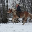 Reiten macht Spaß!