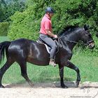 Reiten macht Spass