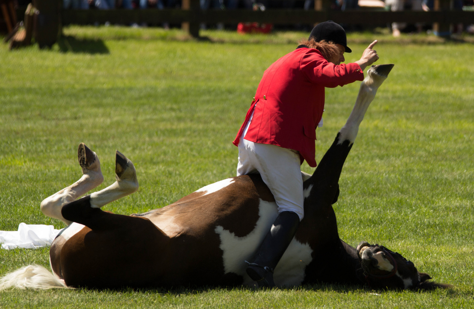 Reiten mal anders