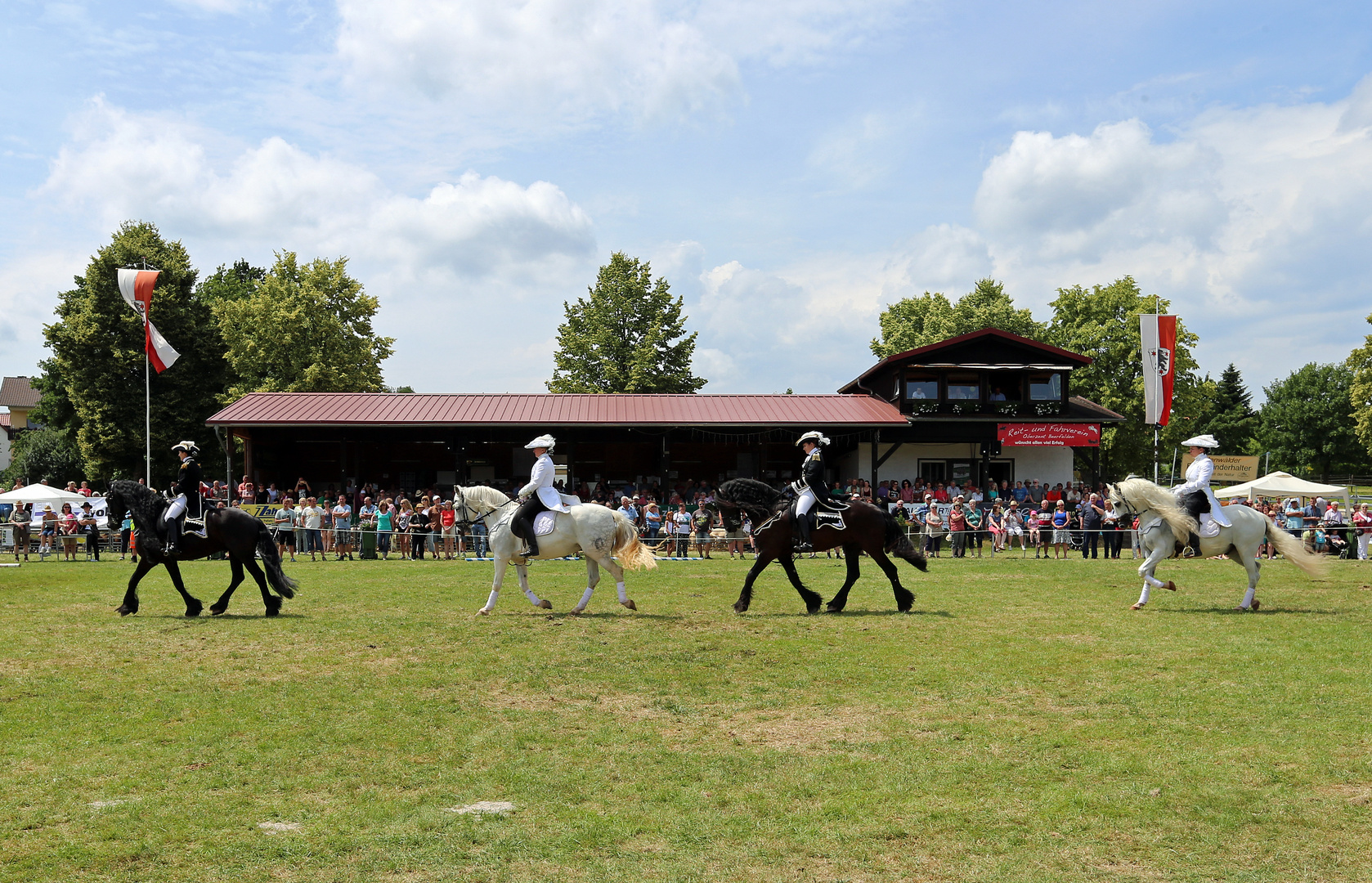 Reiten Quadrille -1- 