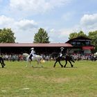 Reiten Quadrille -1- 