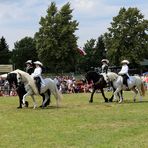 Reiten Quadrille -2- 