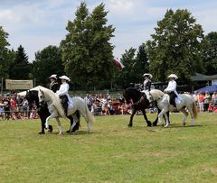 Reiten Quadrille -2- 