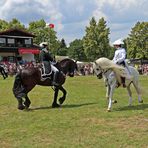 Reiten Quadrille -3-