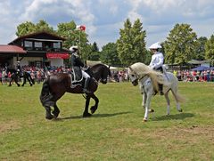 Reiten Quadrille -3-