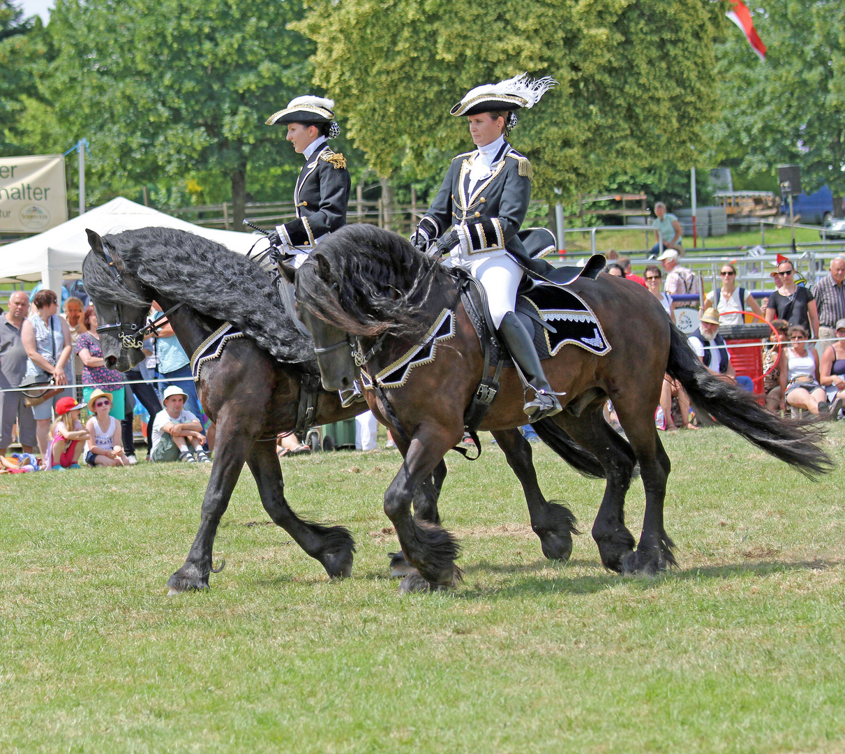 Reiten Quadrille -4- 