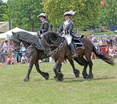 Reiten Quadrille -4- 