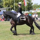 Reiten Quadrille -5- 