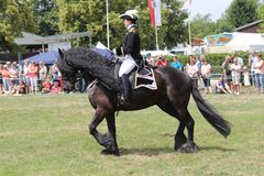 Reiten Quadrille -5- 