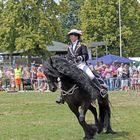 Reiten Quadrille -6- 