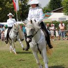 Reiten Quadrille -7- 