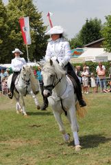 Reiten Quadrille -7- 