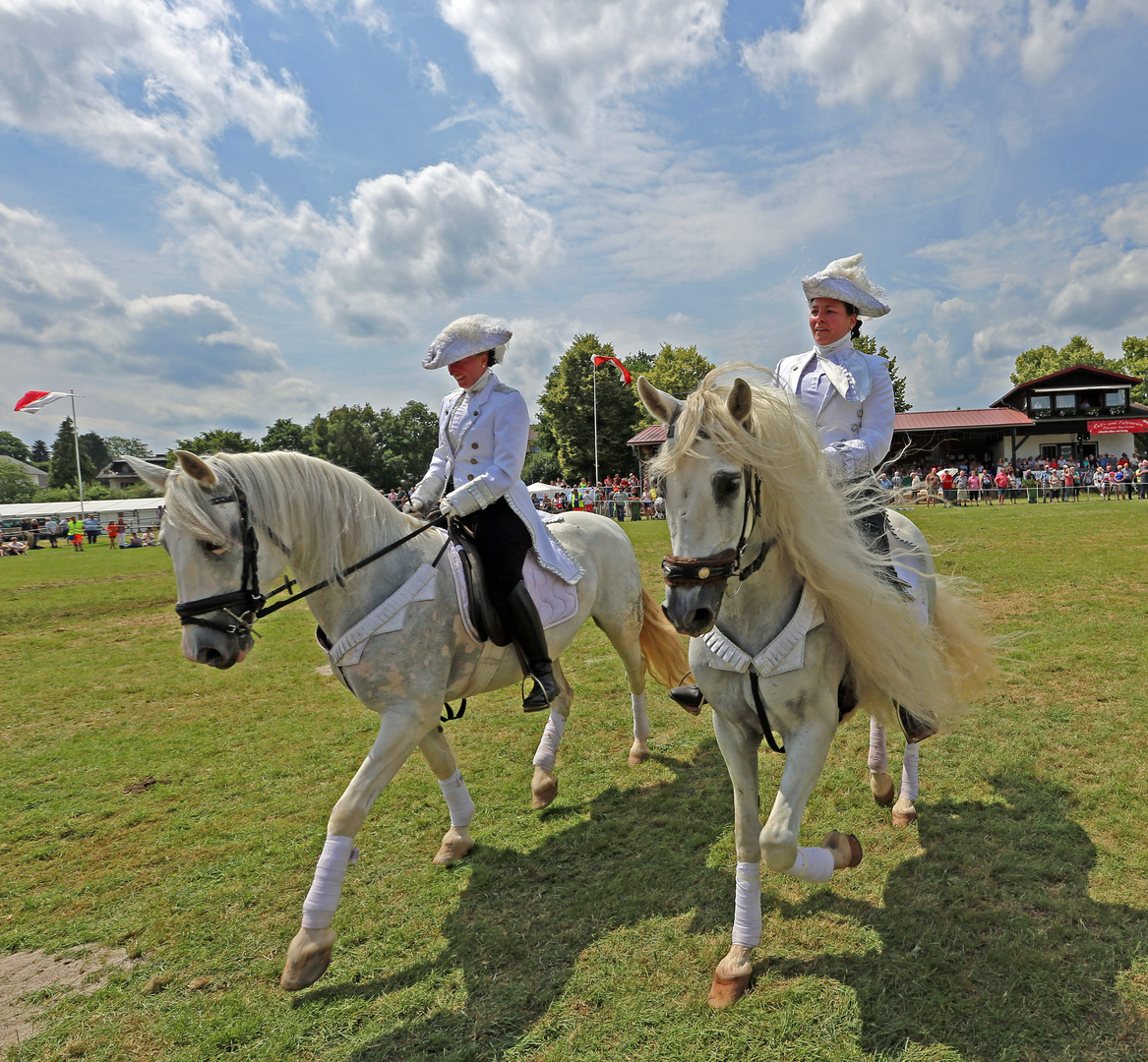 Reiten Quadrille -8- 