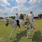 Reiten Quadrille -8- 