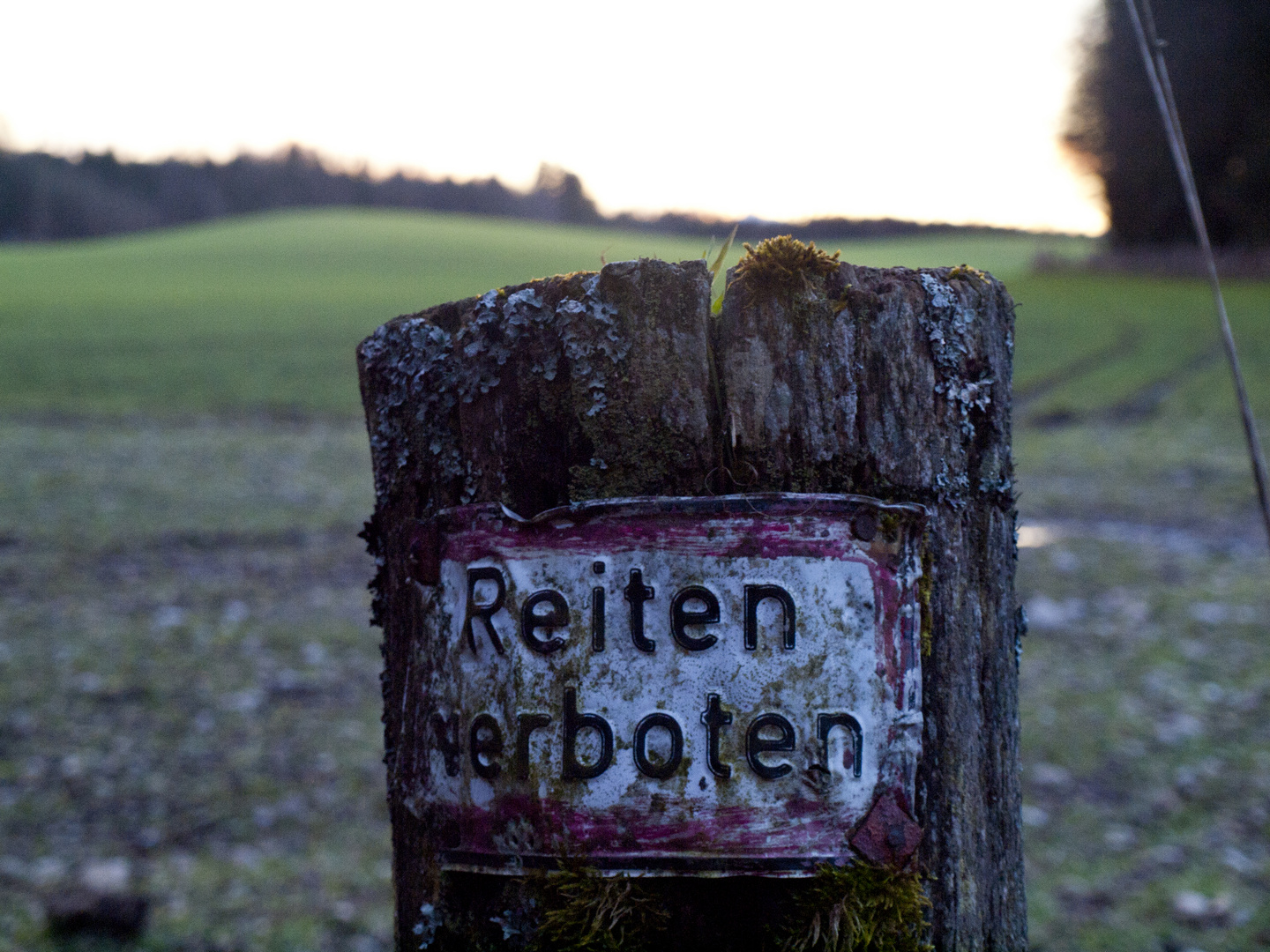 Reiten verboten