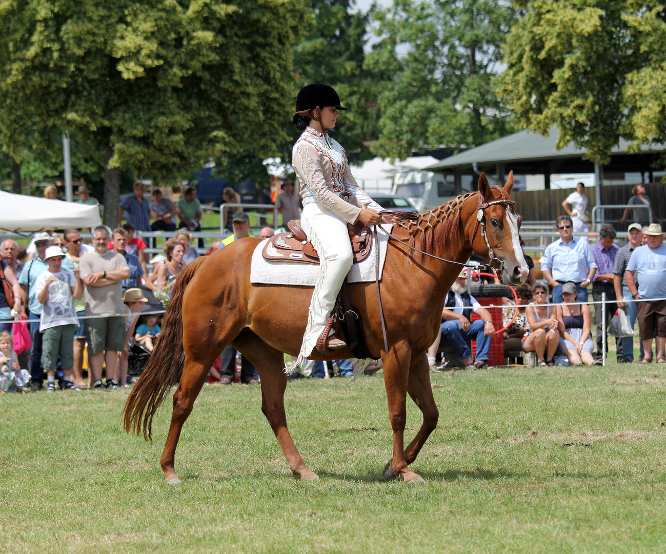 Reiten Westernreiten -2-