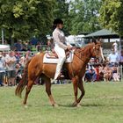 Reiten Westernreiten -2-