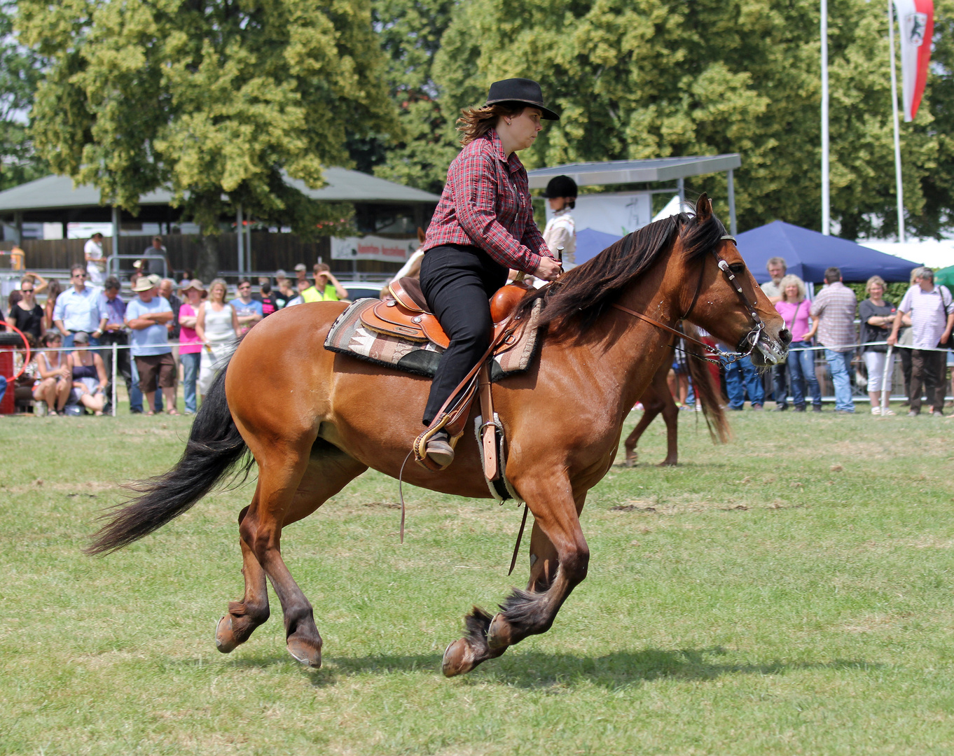 Reiten -Westernreiten- 