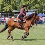 Reiten -Westernreiten- 