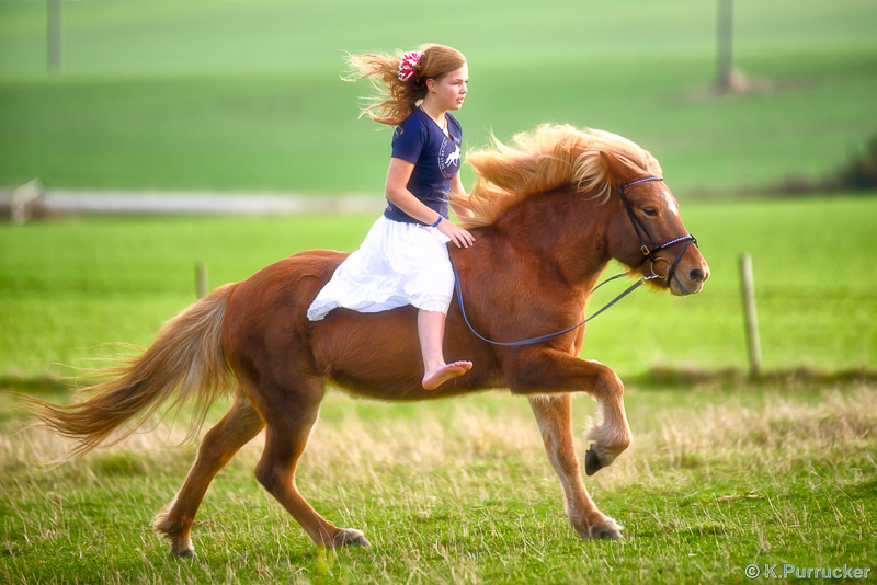 Reiten wie die Amazonen