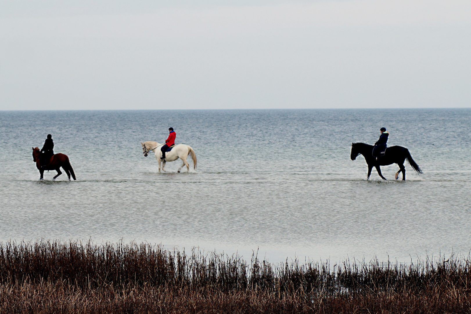 Reiter am Ostseestrand