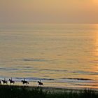 Reiter am Strand