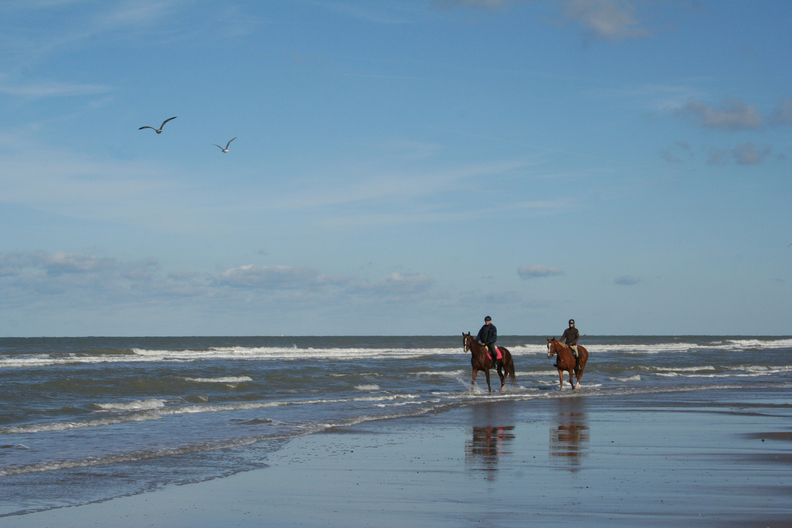 Reiter am Strand bei Brügge