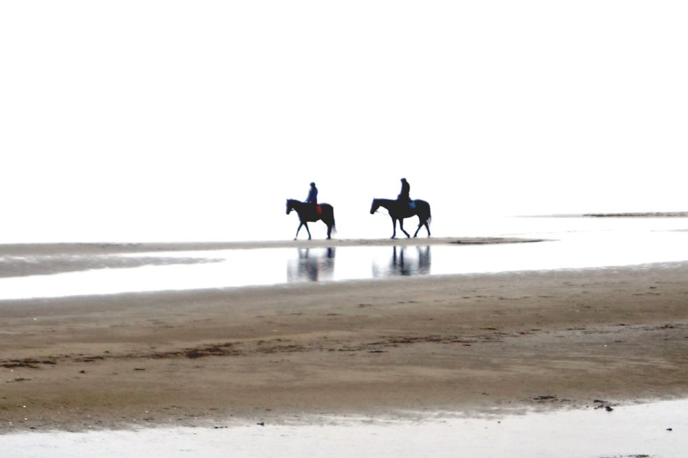 Reiter am Strand