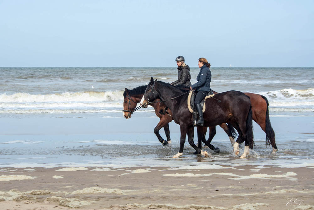 Reiter am Strand