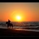 Reiter am Strand