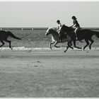 Reiter am Strand + Möwe