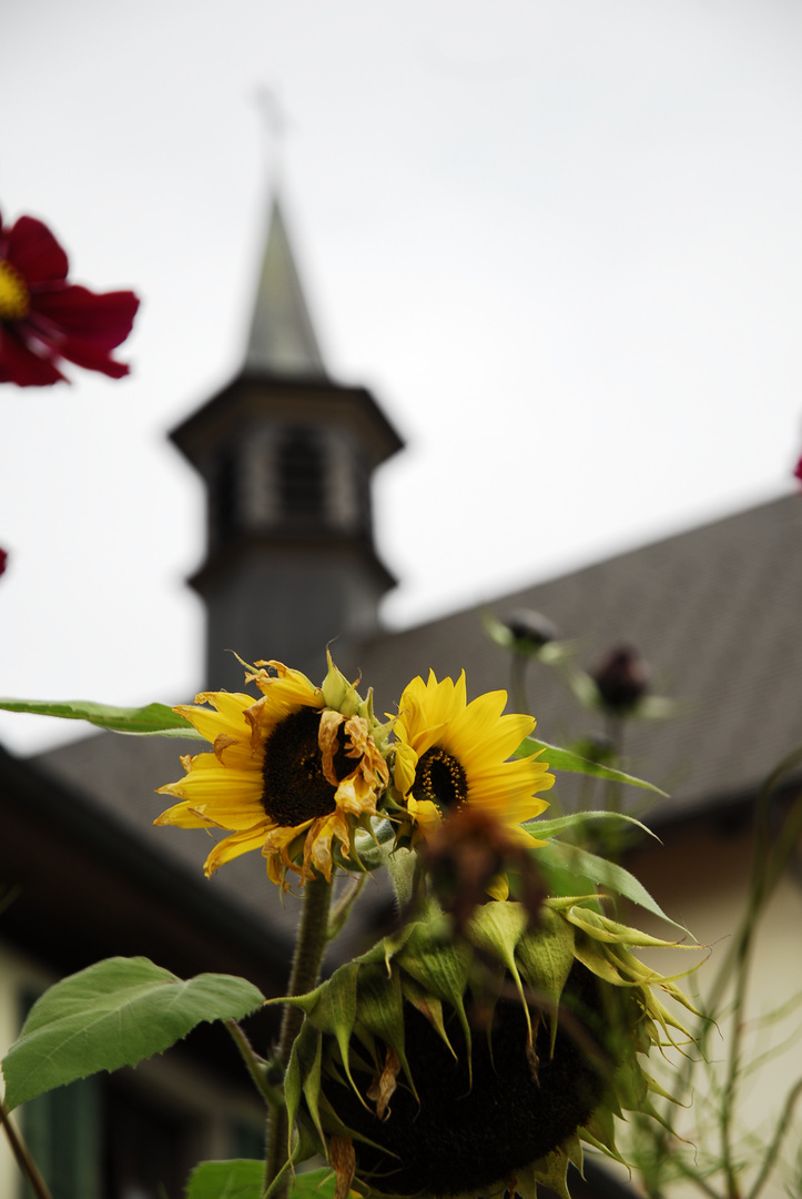 Reiter auf der Klosterkirche Stühlingen