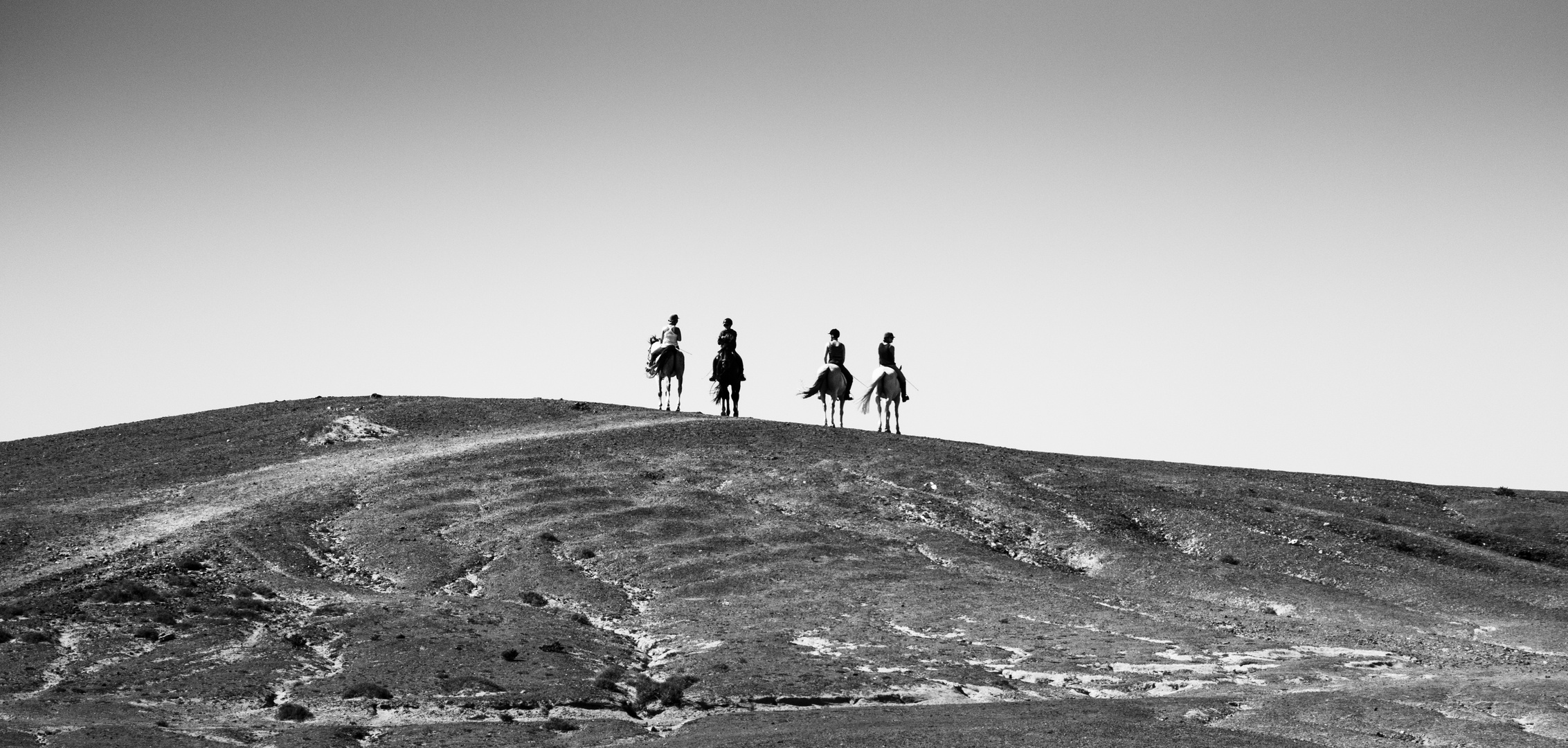 reiter auf Fuerteventura